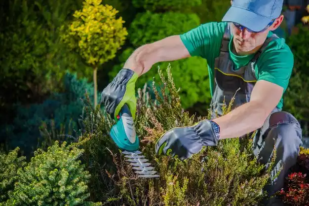 landscaping services Spanish Lake
